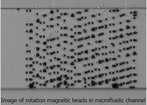 Functionalized magnetic beads